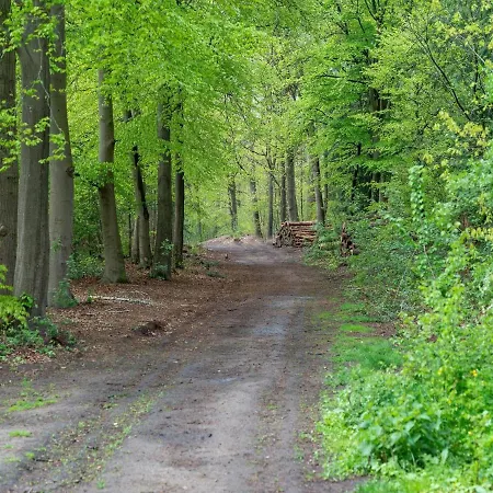 Beautiful Hut In With Wellness Prázdninový dům