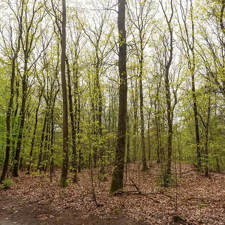 Kieftveen With Hot Tub For Four Person * Voorthuizen