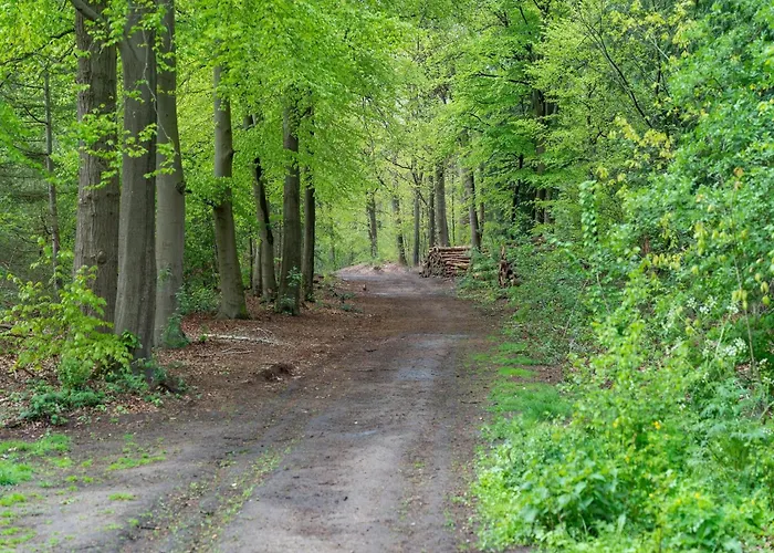 Kieftveen With Hot Tub For Four Person * Voorthuizen