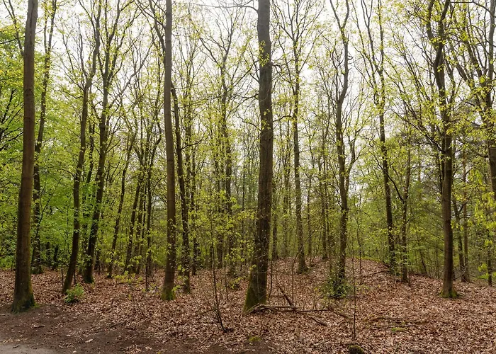 Kieftveen With Hot Tub For Four Person * Voorthuizen